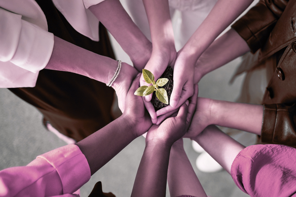 MICRO-CSOs Empowerment